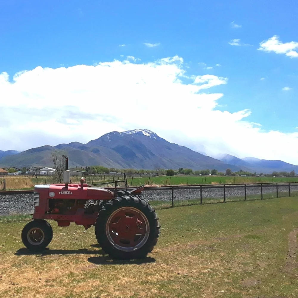 Hello - Picture 4 of 5